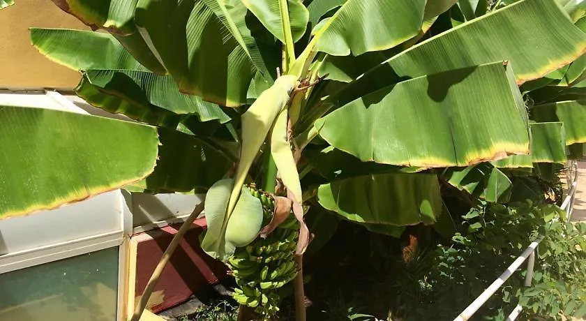 Βίλα Island Village Costa Adeje  Ισπανία